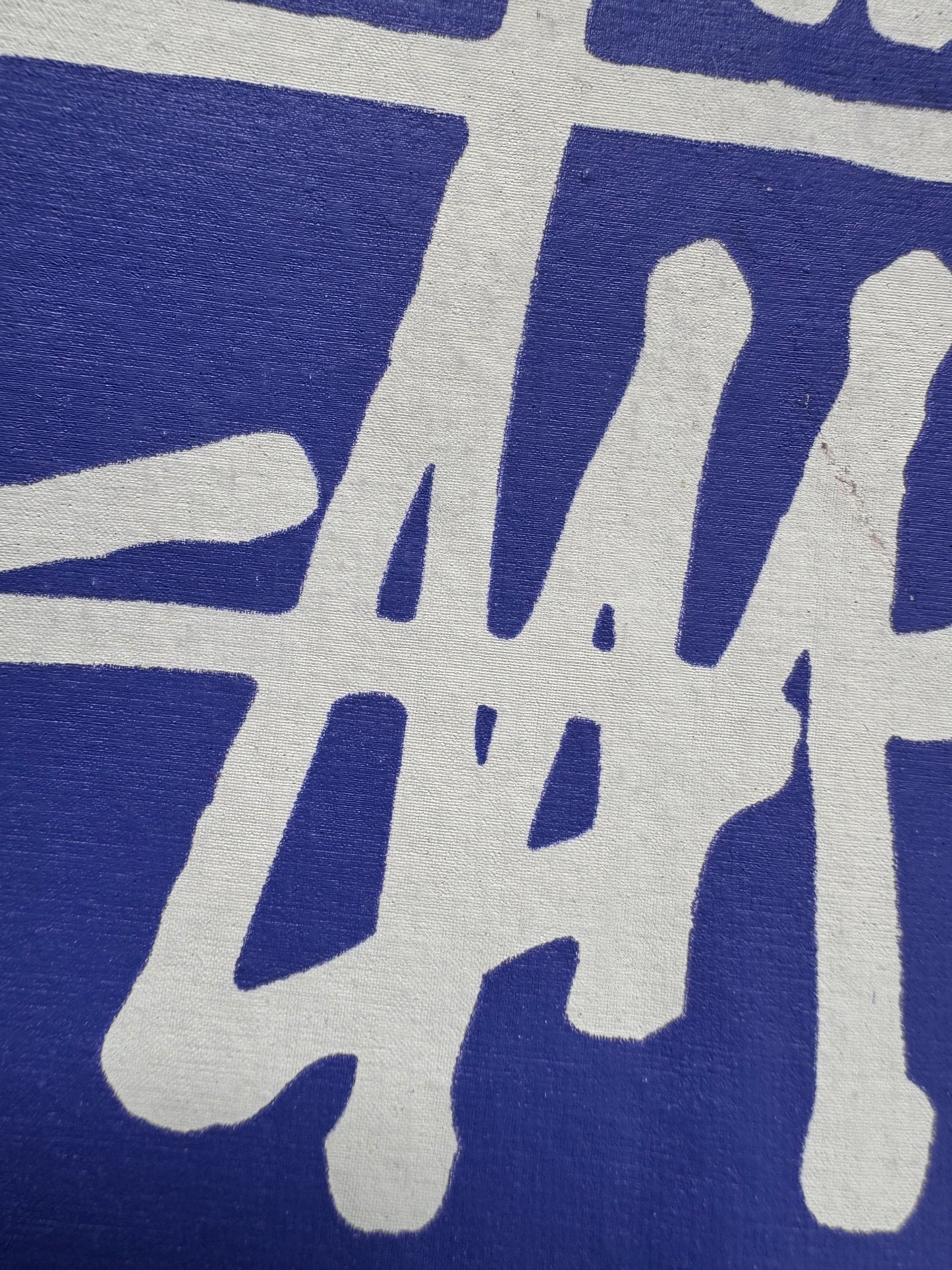 Vintage 2000's Stussy graphic print logo hoodie (M)
